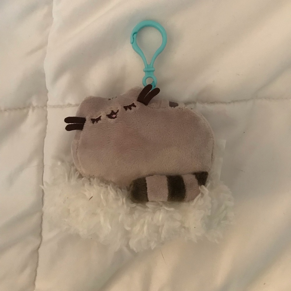 Limited edition pusheen keychain